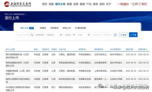 国产a网站,探索创新与发展的中国互联网新篇章